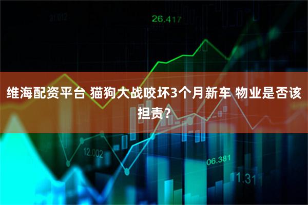维海配资平台 猫狗大战咬坏3个月新车 物业是否该担责？